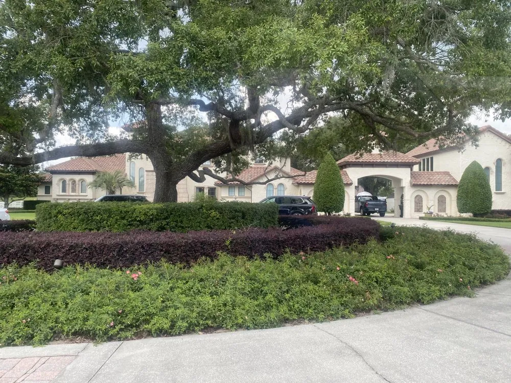 Professional landscape design for year-round maintenance across Orlando, FL - TNT Repair & Services