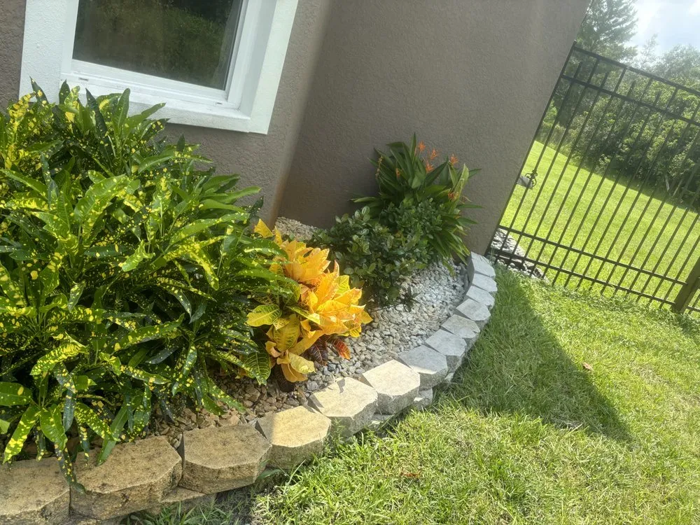 Local yard maintenance in Orlando, FL by TNT Repair & Services