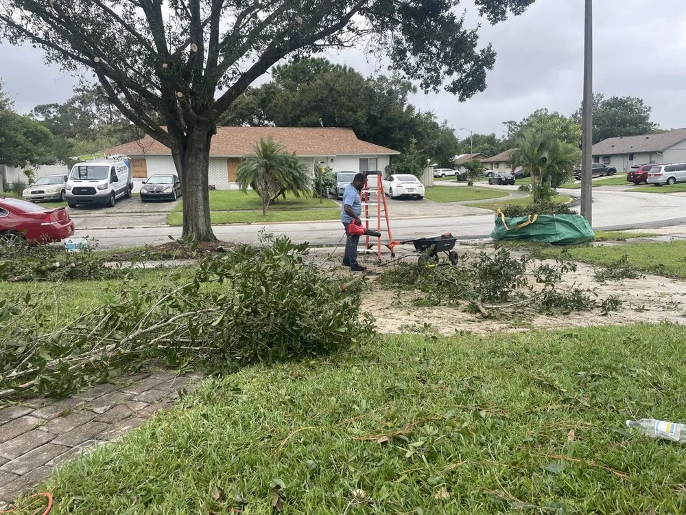 Expert yard maintenance in Orlando, FL - TNT Repair & Services