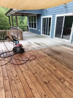 TNT Service Pros Logo