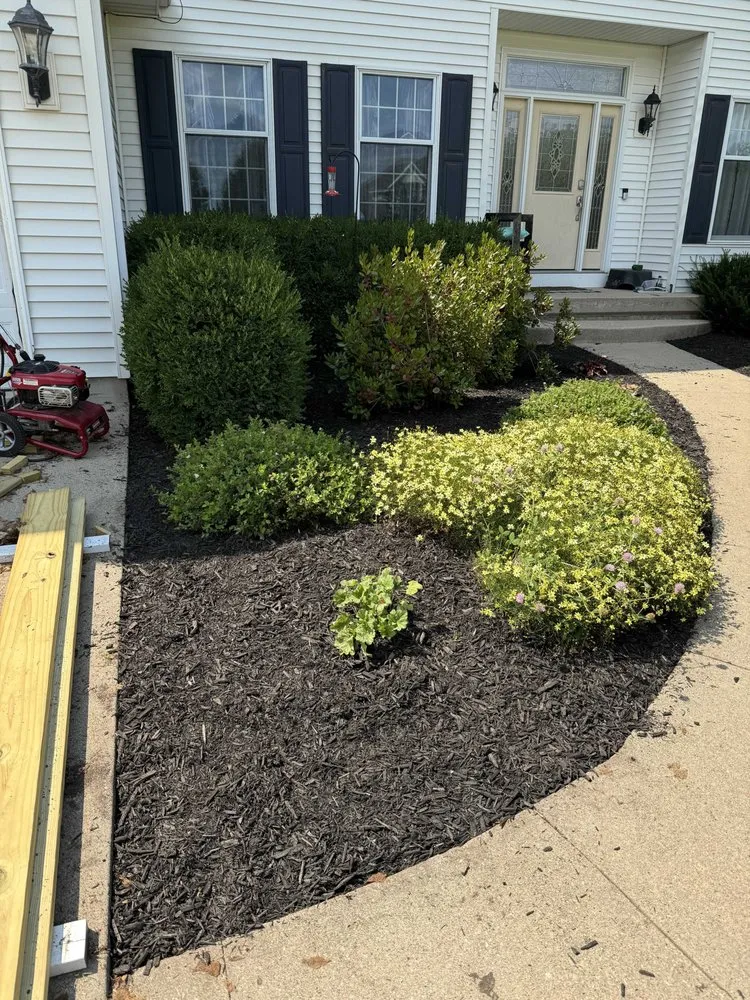 Trusted lawn care service experts serving Rock Falls, IL - TNT Services