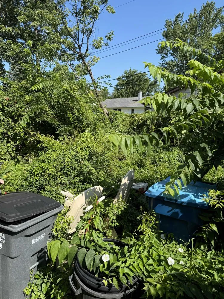 Local landscape design in Rock Falls, IL by TNT Services