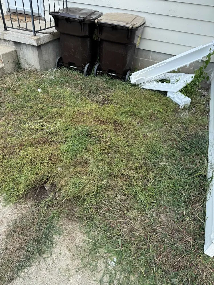 Reliable yard maintenance experts serving Rock Falls, IL - TNT Services