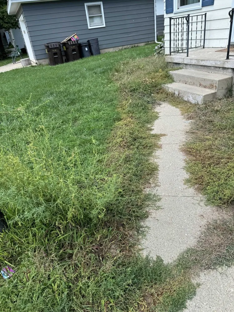 Expert yard cleanup service experts serving Rock Falls, IL - TNT Services