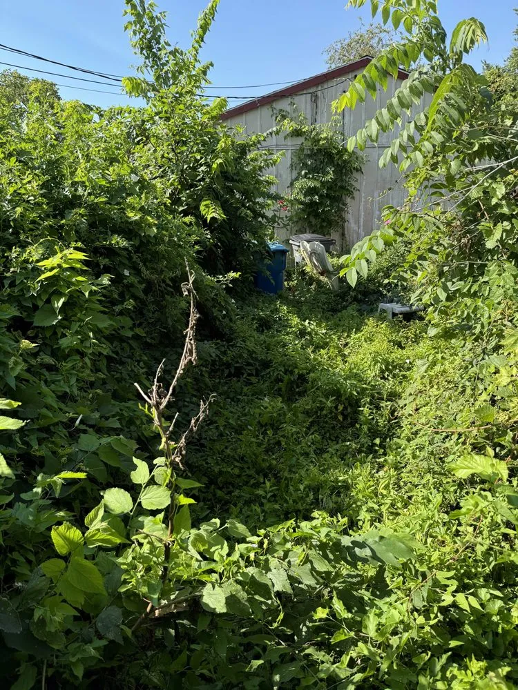 Top-rated landscape design in Rock Falls, IL - TNT Services