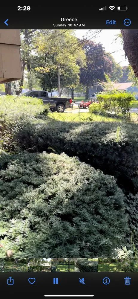 Custom residential landscaping for outdoor upgrades in Rochester, NY by TNT Snow Removal & Lawn Care Experts