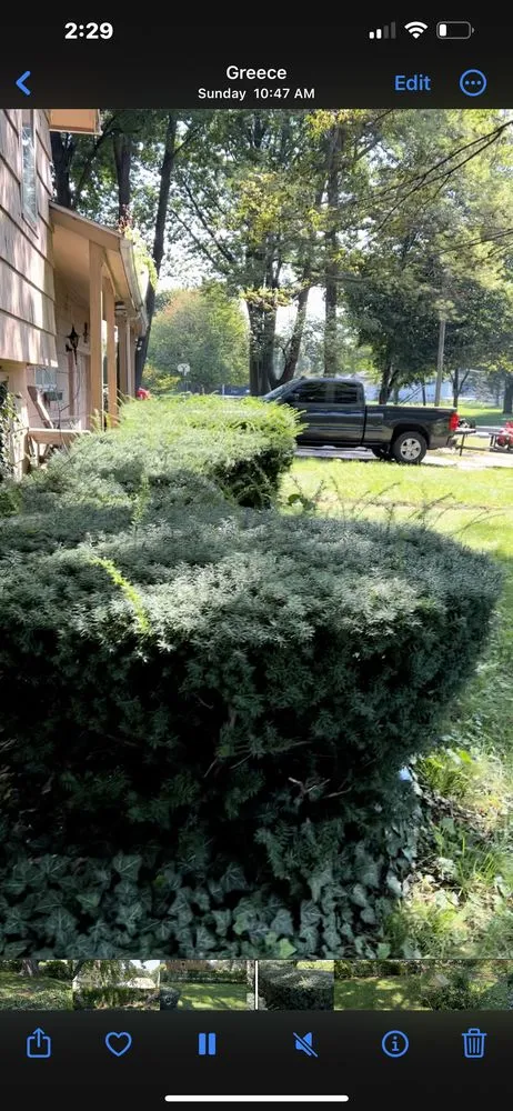 Local landscaping services in Rochester, NY - TNT Snow Removal & Lawn Care Experts