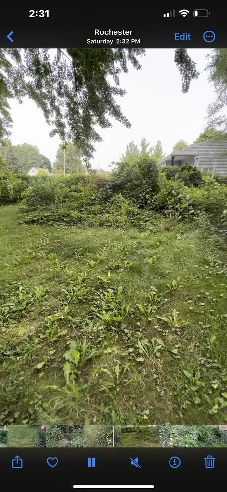 Affordable lawn mowing service for beautiful yards across Rochester, NY - TNT Snow Removal & Lawn Care Experts