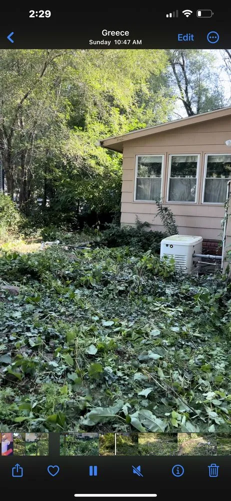 Trusted lawn care service in Rochester, NY by TNT Snow Removal & Lawn Care Experts