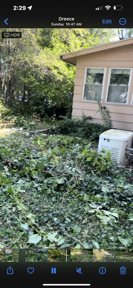 Professional yard cleanup service experts serving Rochester, NY - TNT Snow Removal & Lawn Care Experts