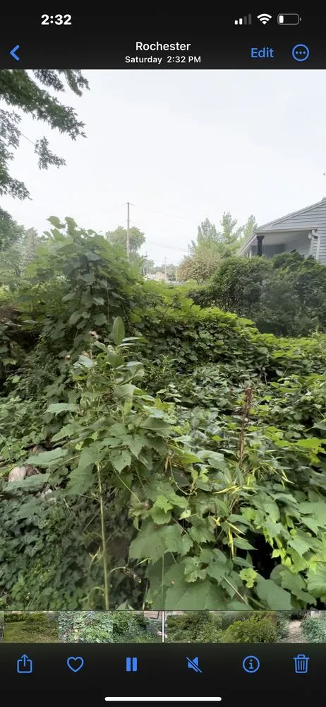 Trusted yard cleanup service experts serving Rochester, NY - TNT Snow Removal & Lawn Care Experts