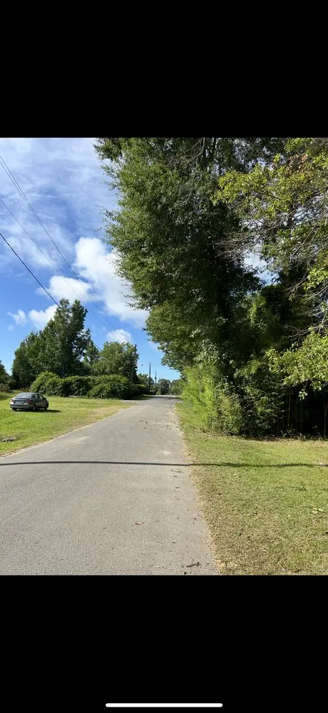 Top-rated landscaping services in El Paso, TX - TNT Tree Service