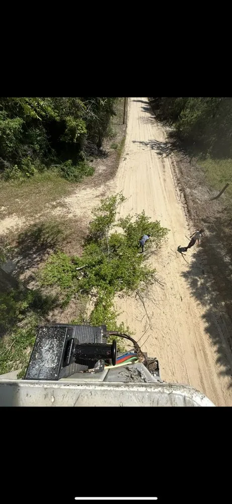 Expert yard maintenance with custom design in El Paso, TX by TNT Tree Service