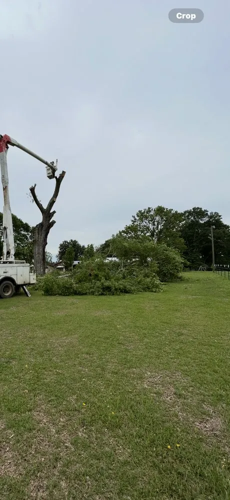 Custom residential landscaping in El Paso, TX - TNT Tree Service