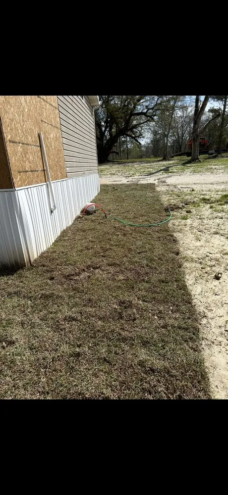 Professional yard cleanup service for outdoor upgrades in El Paso, TX by TNT Tree Service