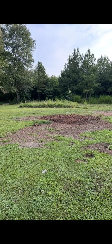 Local yard maintenance in El Paso, TX by TNT Tree Service