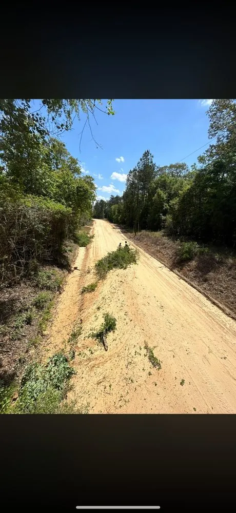 Reliable yard cleanup service near you in El Paso, TX by TNT Tree Service
