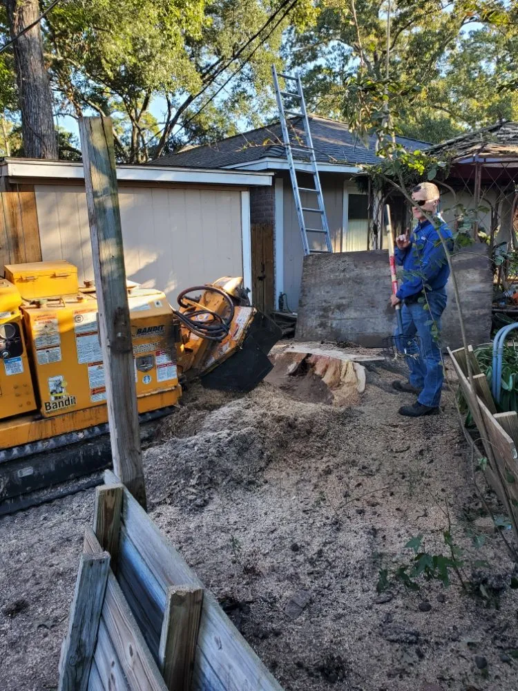 Reliable landscape design near you across Kingwood, TX - TNT Tree Service