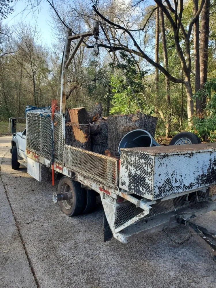 Professional landscaping services for beautiful yards in Kingwood, TX by TNT Tree Service