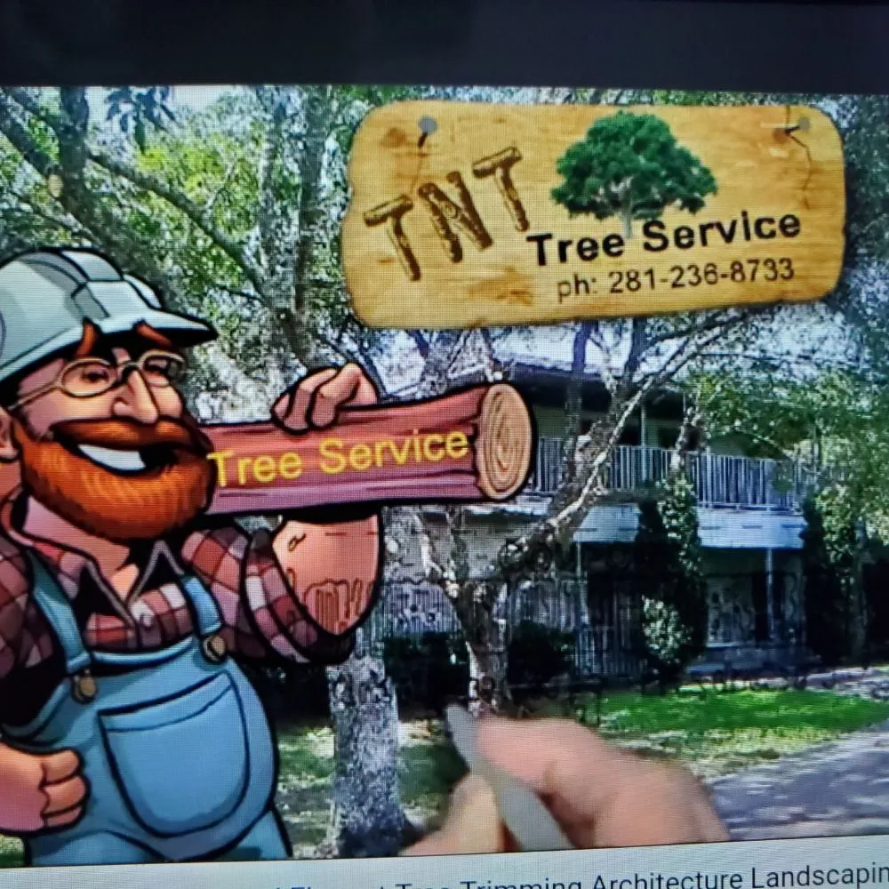 Professional lawn care service experts serving Kingwood, TX - TNT Tree Service