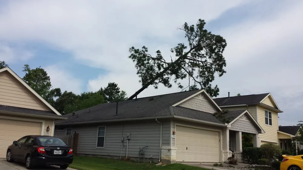 Custom landscape design for year-round maintenance across Kingwood, TX - TNT Tree Service