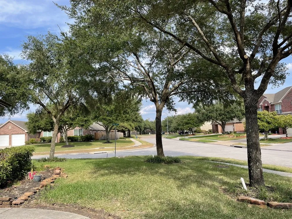 Local landscape design in Kingwood, TX by TNT Tree Service