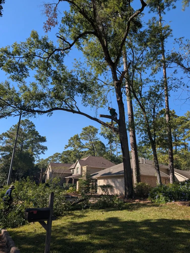 Expert residential landscaping for beautiful yards in Kingwood, TX by TNT Tree Service