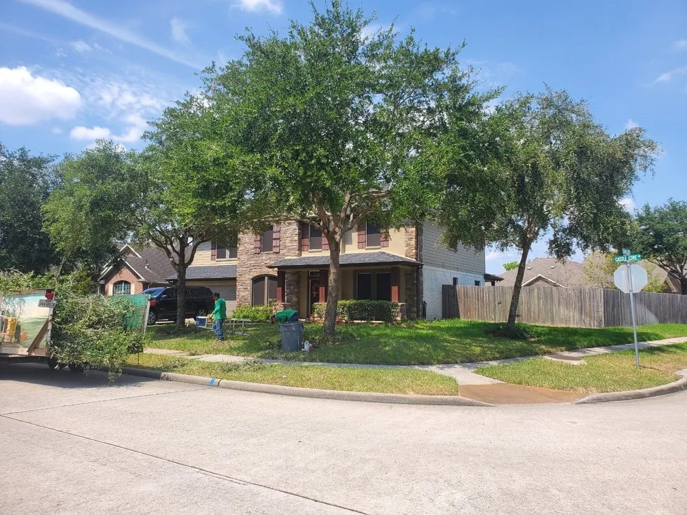 Reliable lawn care service near you in Kingwood, TX by TNT Tree Service