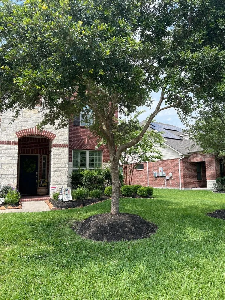 Reliable landscape design experts serving Kingwood, TX - TNT Tree Service