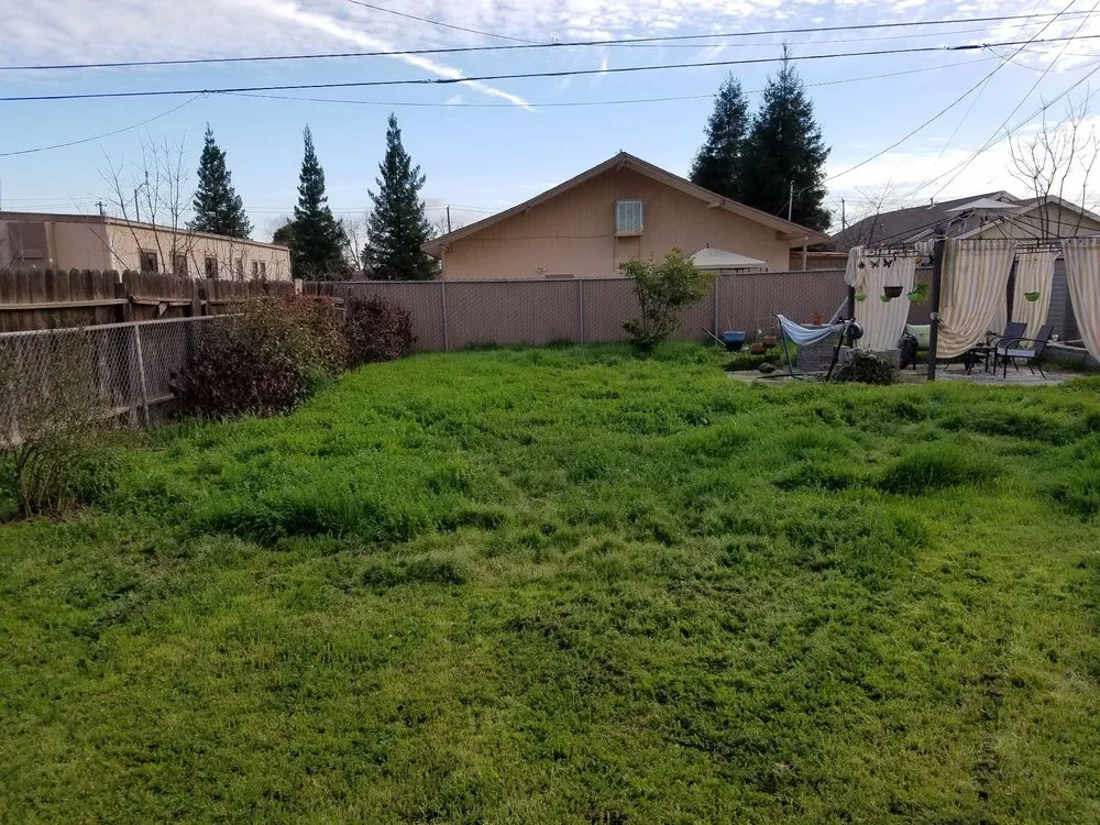 Local yard cleanup service in Fresno, CA by TNT Yard Care & Cleanup