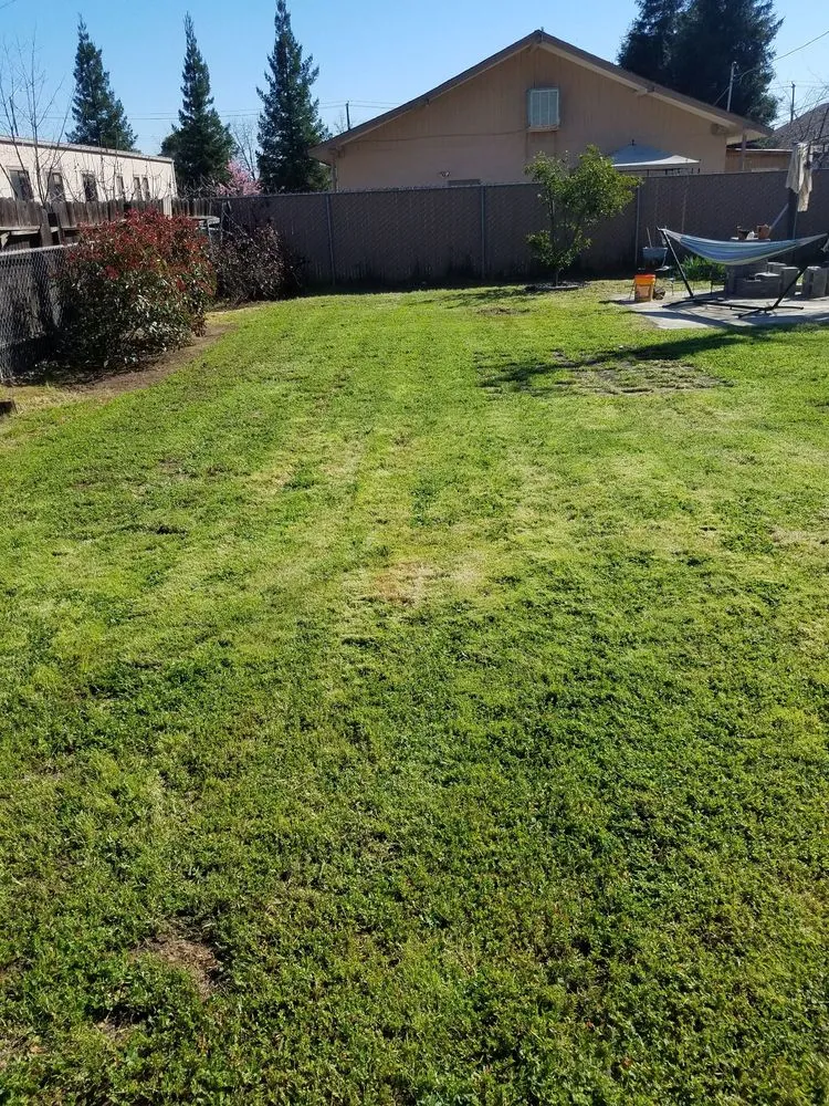 Custom garden landscaping in Fresno, CA - TNT Yard Care & Cleanup