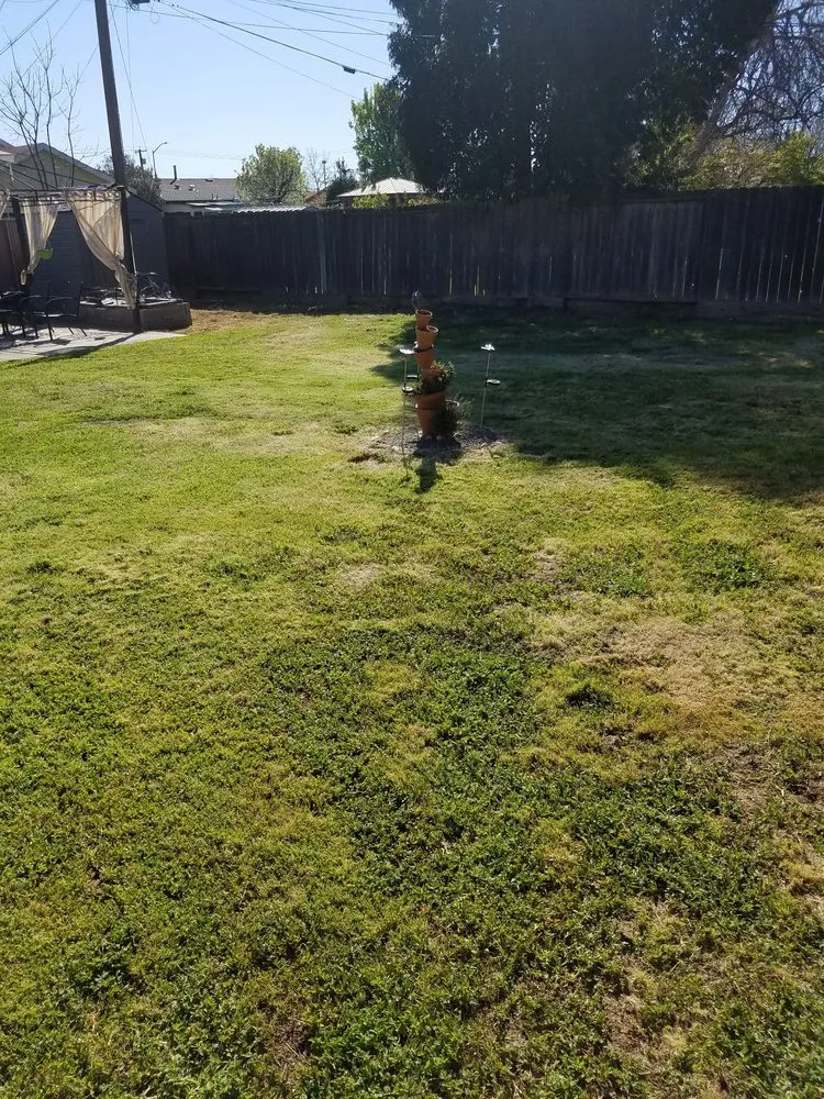 Professional landscape design in Fresno, CA - TNT Yard Care & Cleanup