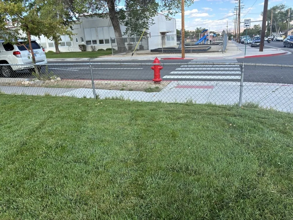 Custom yard cleanup service in Reno, NV - TNT Yard Service