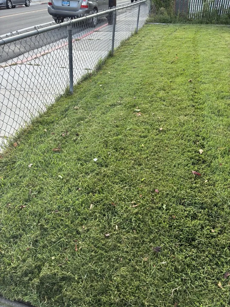 Local landscape design with custom design in Reno, NV by TNT Yard Service