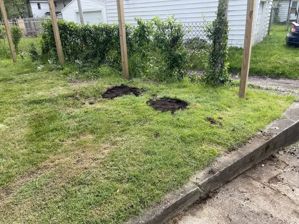 Professional garden landscaping near you in Osceola, IN by TNTC Lawn Care