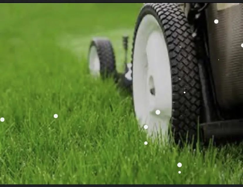 Expert landscaping services for residential properties across Frankfort, IN - TNT’s Lawn and Landscape