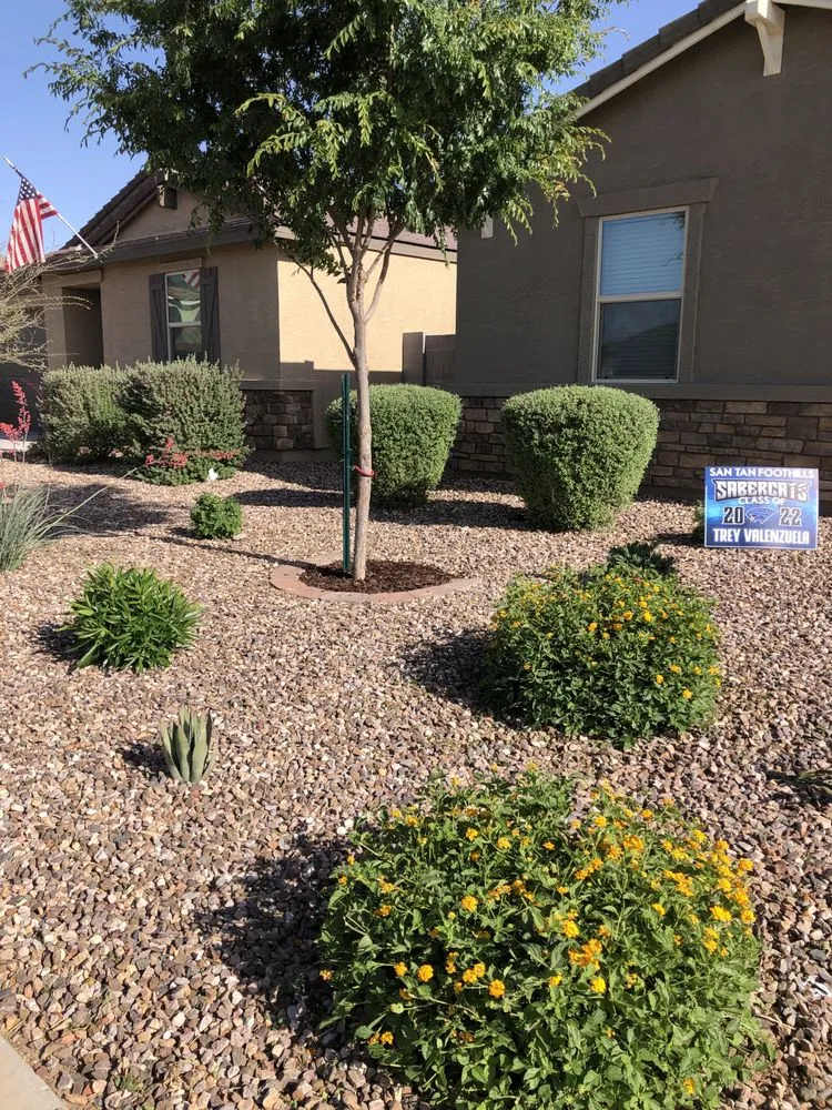 Reliable landscape design for beautiful yards across Queen Creek, AZ - TNV Landscaping