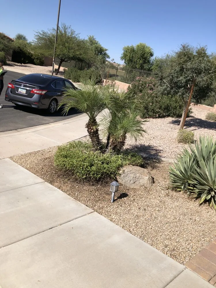 Top-rated yard cleanup service near you across Queen Creek, AZ - TNV Landscaping