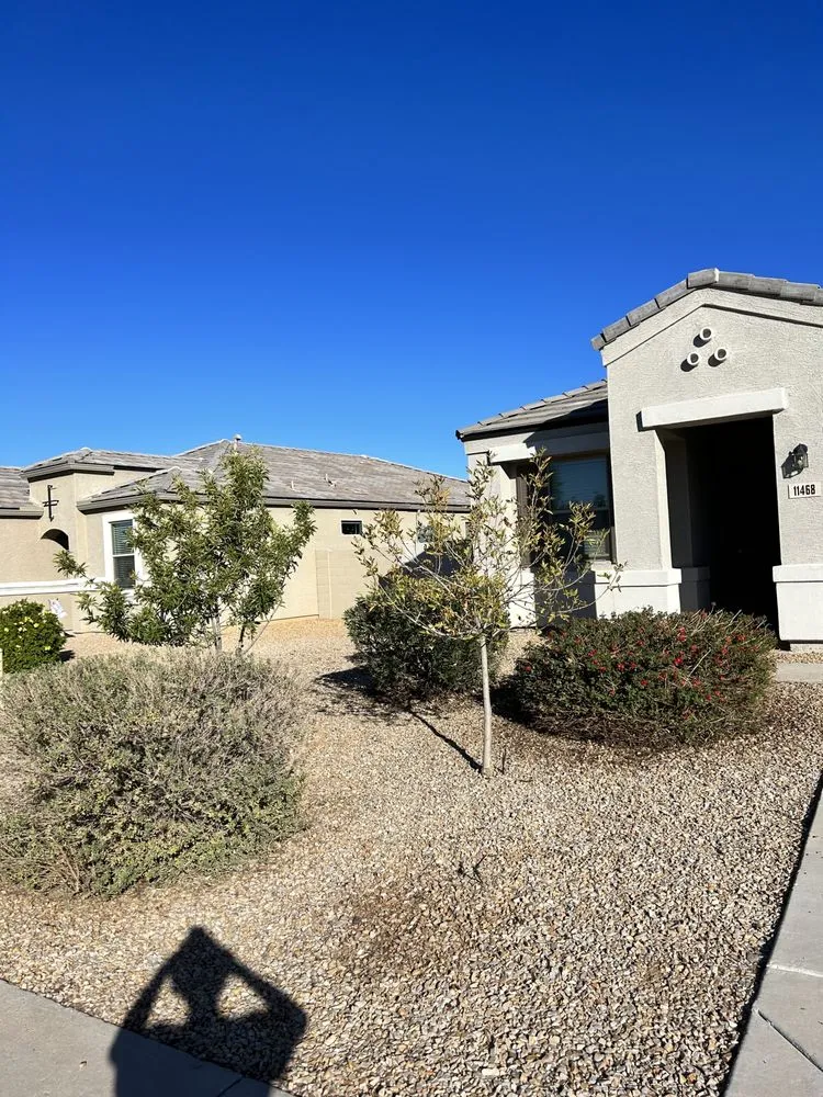 Expert landscape installation experts serving Queen Creek, AZ - TNV Landscaping