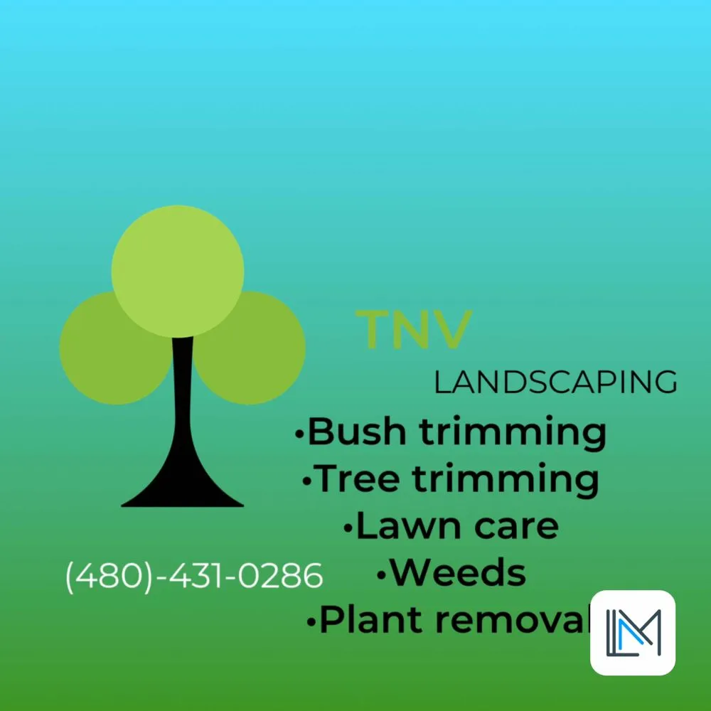 Reliable landscape design for outdoor upgrades in Queen Creek, AZ by TNV Landscaping