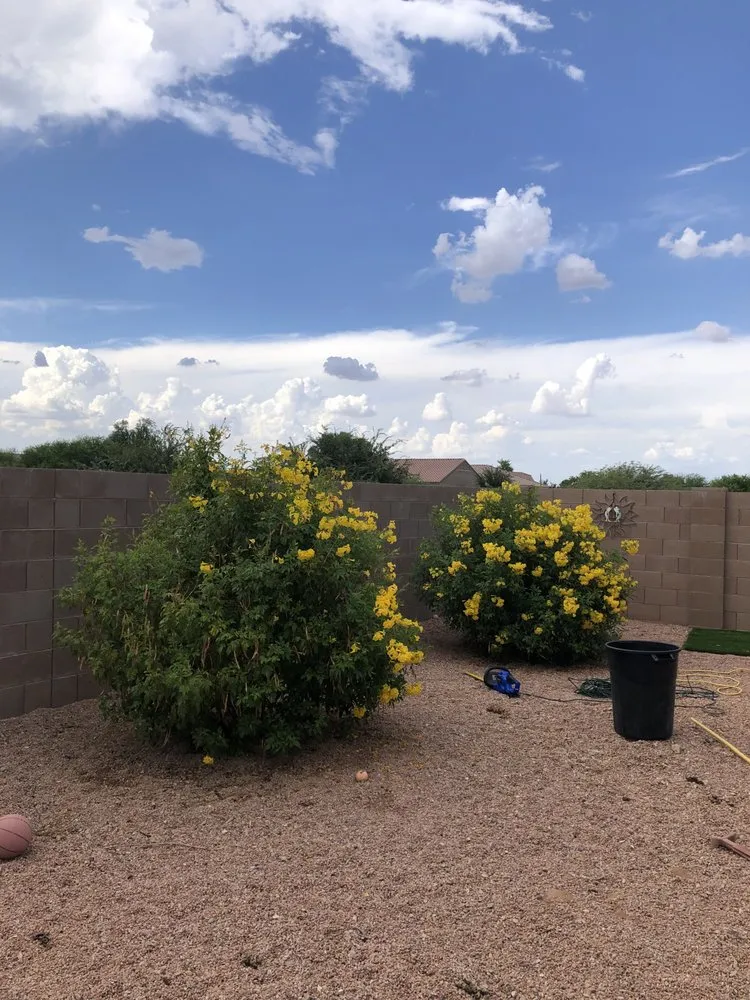 Professional landscaping services for residential properties across Queen Creek, AZ - TNV Landscaping