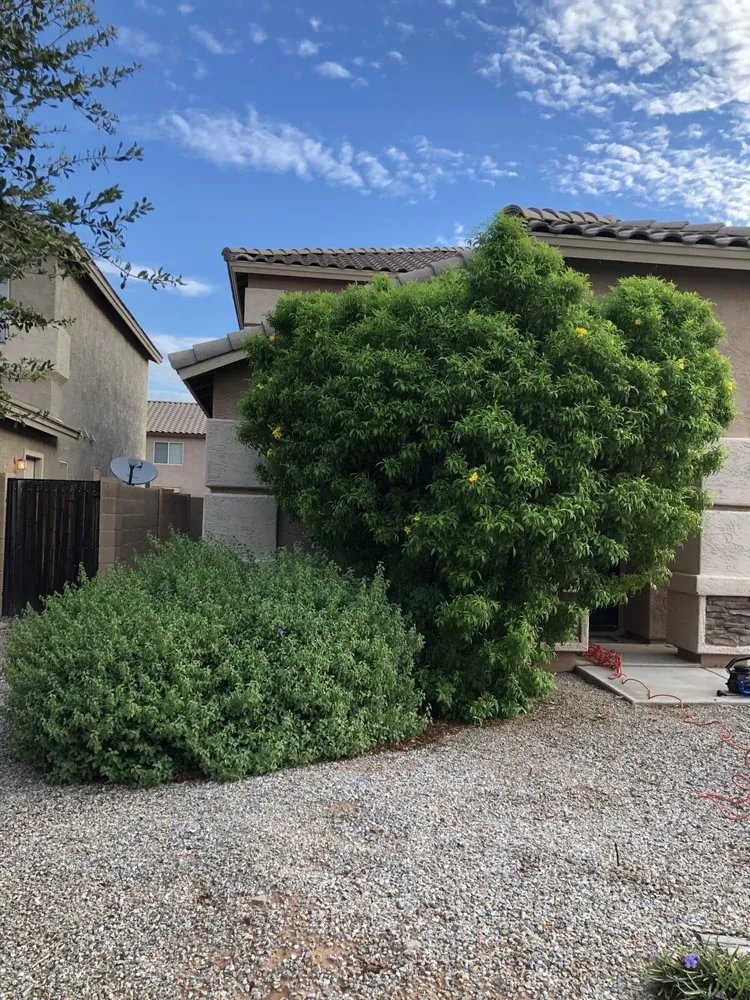 Reliable yard cleanup service with custom design in Queen Creek, AZ by TNV Landscaping