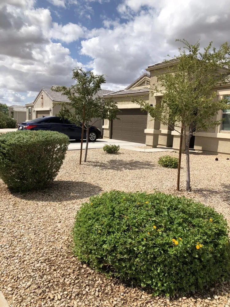 Local yard maintenance near you across Queen Creek, AZ - TNV Landscaping