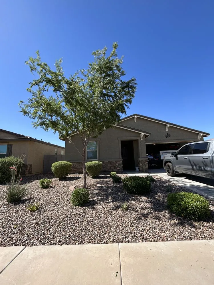 Trusted landscaping services experts serving Queen Creek, AZ - TNV Landscaping