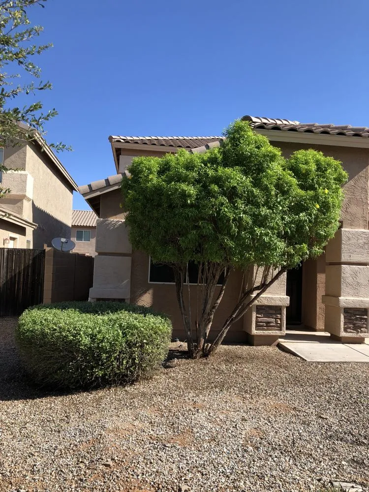 Trusted landscape design with custom design across Queen Creek, AZ - TNV Landscaping