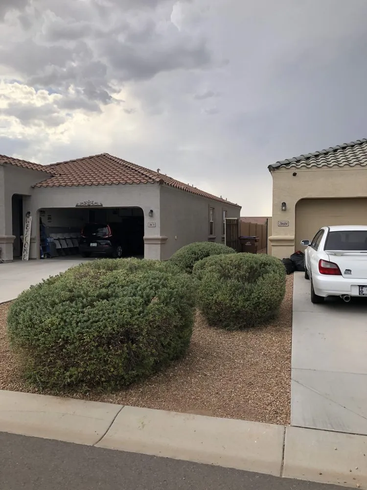 Reliable yard cleanup service for residential properties across Queen Creek, AZ - TNV Landscaping