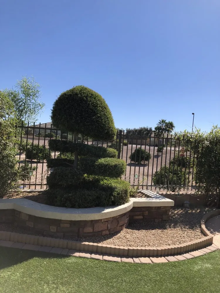 Affordable lawn care service for year-round maintenance in Queen Creek, AZ by TNV Landscaping