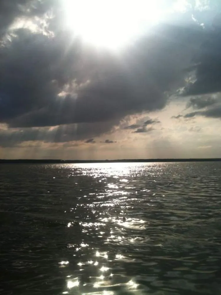 Top-rated garden landscaping for year-round maintenance across Whitney, TX - TnZ landscaping