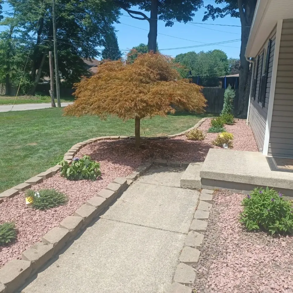 Expert yard cleanup service in Youngstown, OH - To A T Home Services