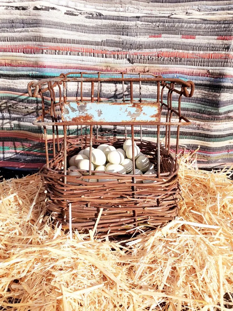 Affordable lawn mowing service in Seattle, WA - To The Root